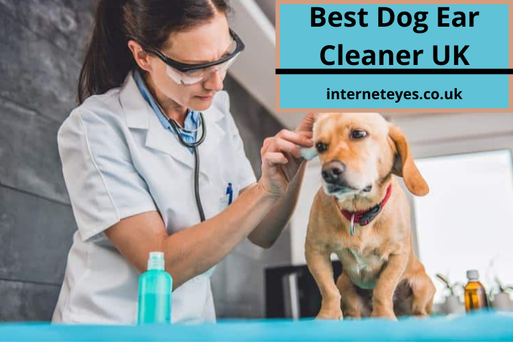 Dog Ear Cleaner UK